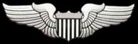 Air Force Pilot Wings